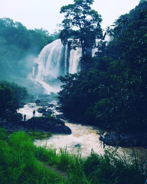 ഹൈറേഞ്ചിന്റെ അതിരപ്പള്ളി എന്നറിയപ്പെടുന്ന കുത്തുങ്കല്‍ വെള്ളച്ചാട്ടം